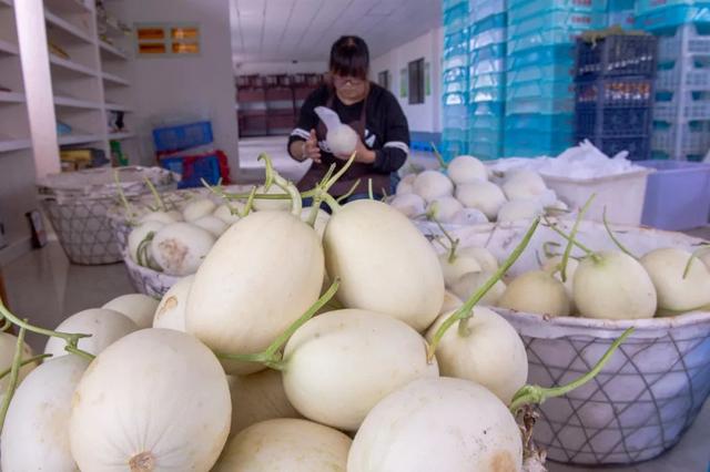 浦東開具首張食用農(nóng)產(chǎn)品合格證，二維碼溯源體系助推全區(qū)年內(nèi)實(shí)現(xiàn)全覆蓋