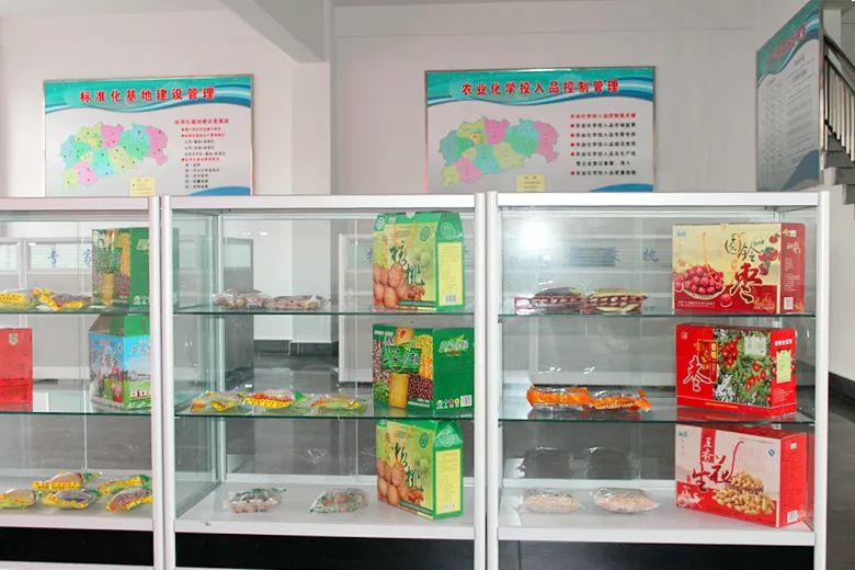 “十百千”專欄 中國食用菌工廠化生產(chǎn)第一縣走出鄉(xiāng)村振興的富民路