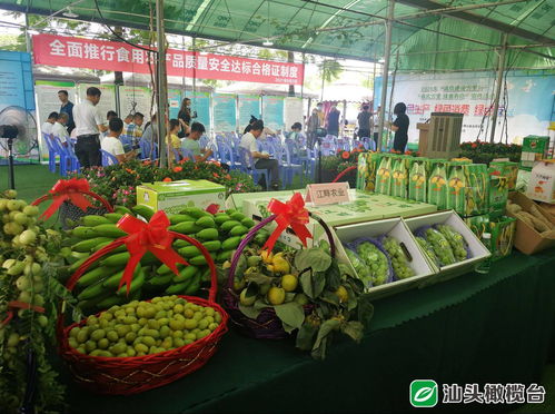 守護(hù)舌尖安全，助力鄉(xiāng)村振興——50多家企業(yè)承諾“不安全不上市”彰顯責(zé)任擔(dān)當(dāng)